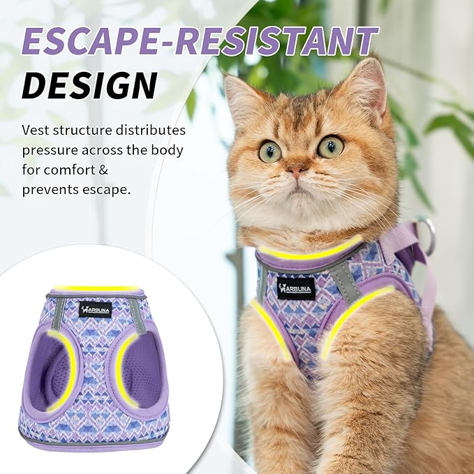 Arblina Soft Mesh Cat Harness and Leash Set for Walking,Escape Proof No Choke Step in Kitten Vest Harness,Reflective Ajustable Puppy Vest for Traveling
