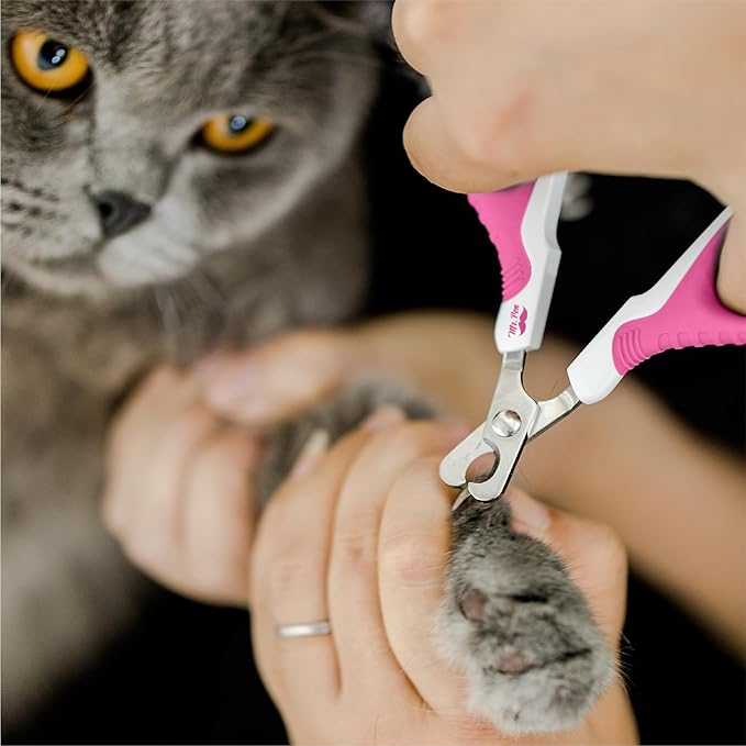 Mr. Pen- Cat Nail Clipper, Stainless Steel, Professional Sharp Cat Claw Trimmer for Small and Medium Cats, Pet Nail Clipper with Sturdy Non Slip Handle