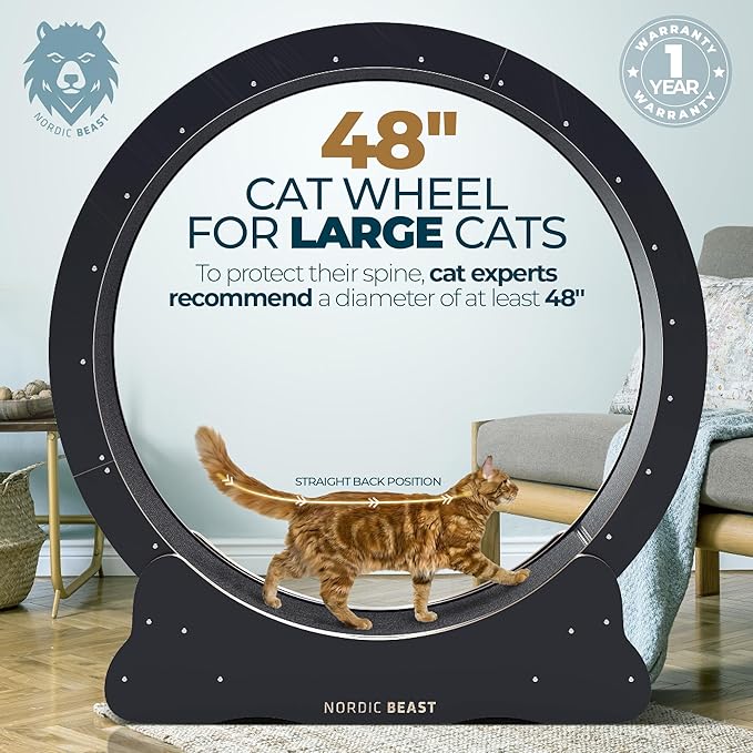 Nordic Beast 48'' XL Cat Wheel – Safe, Quiet & Stable Exercise Wheel for Large Indoor Cats up to 45 lbs – 15.7'' Extra-Wide Surface Fits 2 Cats Side by Side & Prevents Wobbling, 1-Year Warranty