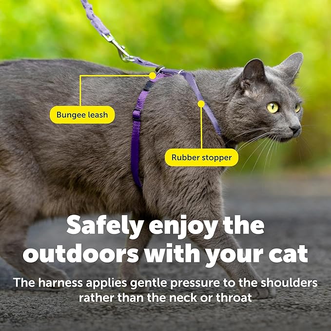 PetSafe Come with Me Kitty Harness and Bungee Leash Adjustable, Lightweight Harness for Cats Small, Lilac