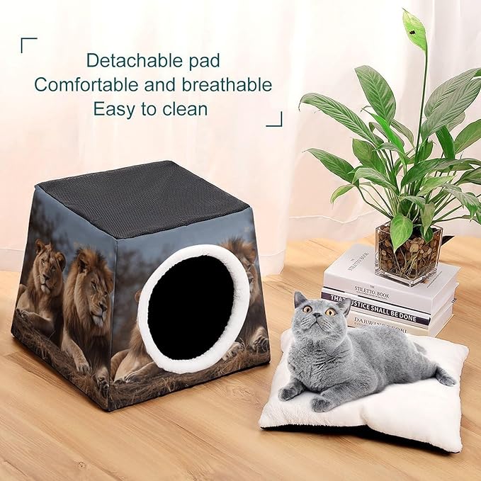 Cat Cave Cat Beds for Indoor Cats Two Lions Foldable Cat Hideaway with Washable Cushion and Non-Slip Base