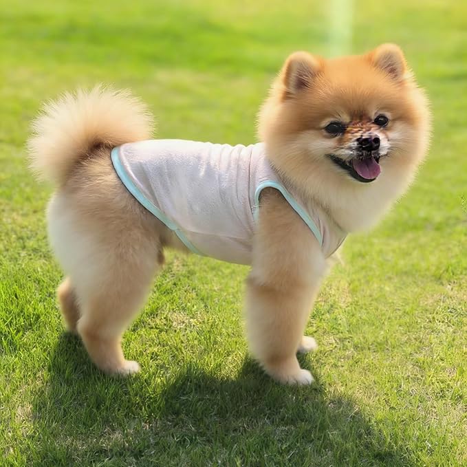 2Pcs Cooling Shirts for Small Dogs, Sleeveless Dog Vest, Lightweight Breathable Dog Summer Tank Top Sun Protection Shirts for Dogs Cats Pet Apparel (Pink Yellow, X-Small Size for 1.1-3.3lb Pets)