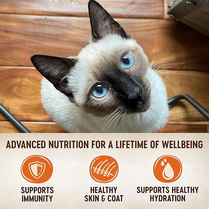 Wellness CORE Tiny Tasters Pate Variety Pack Adult Wet Cat Food, Natural, Protein Rich, Grain Free, Sea Recipies, 1.75 oz, Pack of 12 Pouches