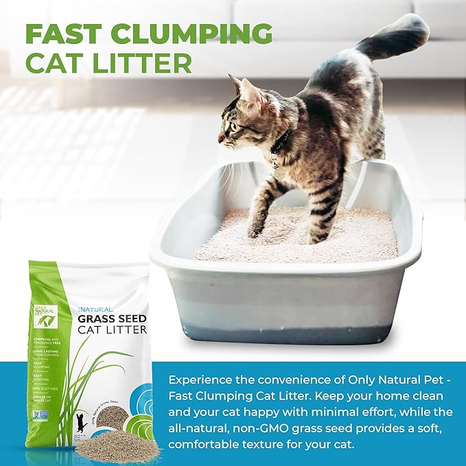 Only Natural Pet - Fast Clumping Cat Litter Non GMO Kitty Litter, Single or Multi Cat, Unscented - 20 lb Bag