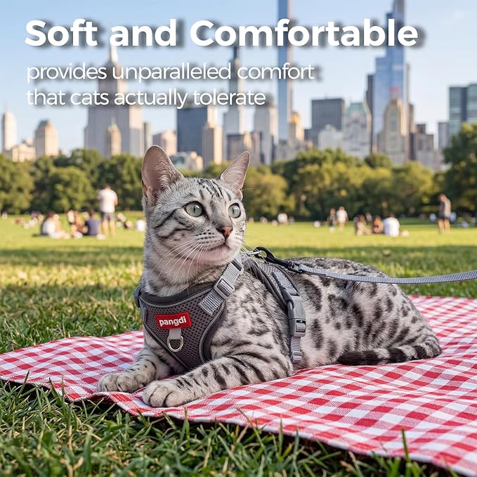 Cat Harness and Leash Kitten Harness Escape Proof Lightweight Breathable Mesh Cat Leash for Walking Travel, Grey, Small