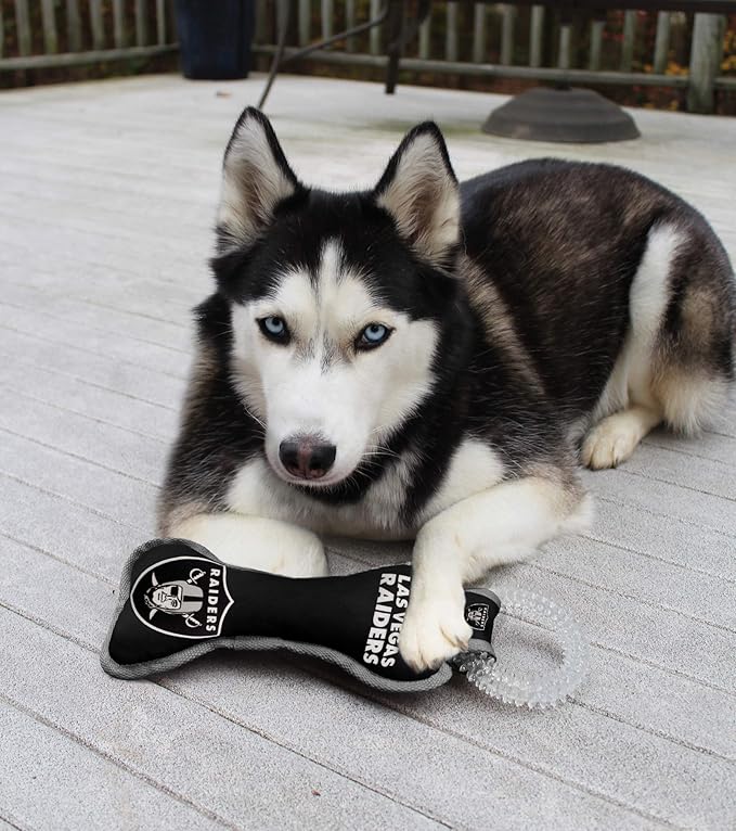 Pets First NFL Las Vegas Raiders Football Dental Tough Dog TUG Bone Toy with Built-in Squeaker Attached to a Safe Rubber Teething Toothbrush PET Toy, Team Color, (OAK-3310), 14 x 5