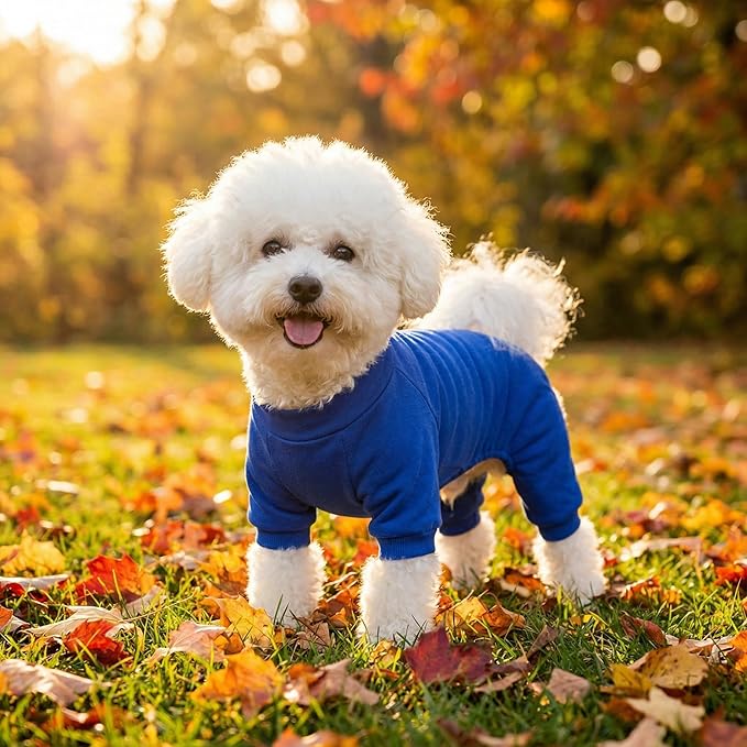 Velvet Dog Pajamas Stretchy Pet Clothes Puppy Jumpsuit Solid Color Cat Clothes for Small Pet Dog and Cat (Dark Blue, Large)