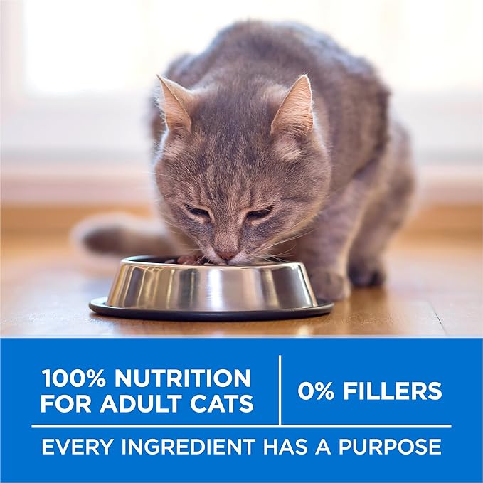Purina ONE Plus High Protein Cat Food Dry Salmon and Ocean Whitefish Cat Skin and Coat Health Formula - 7 lb. Bag