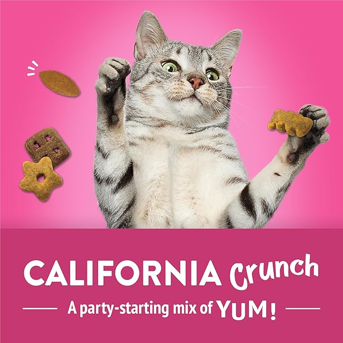 Purina Friskies Party Mix California Crunch with Chicken and Flavors of Turkey and Bacon Cat Treats - 20 oz Canister
