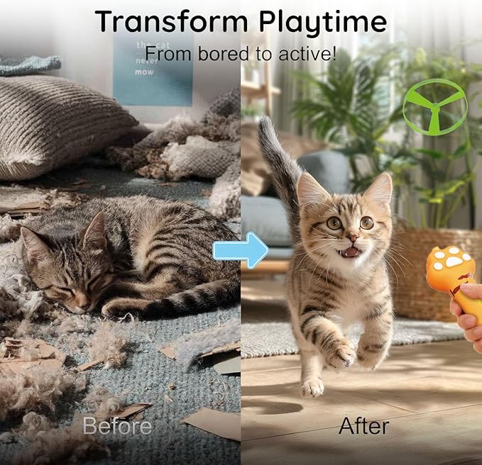 Cat Fetch Toy, Rechargeable Flying Disc Launcher Toy with 6 Flying Discs, Interactive Cat Toy for Indoor Cats, Cat Chase Toy for Bored Indoor Cats, Kittens & Adult Cats