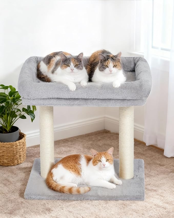 Cat Tree with Scratching Post, 19"×15.8" Large Top Perch Bed, Small Cat Tower for Indoor Cats, Dual Natural Sisal Posts, Space-Saving Cat Furniture (Light Gray)