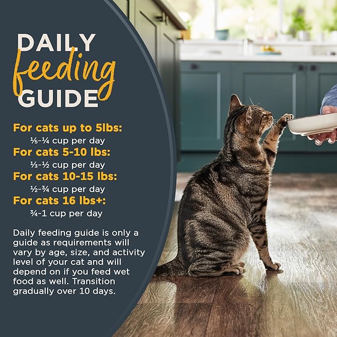 Reveal Natural Adult Dry Cat Food, High Protein, Grain Free with Added Vitamins & Minerals, Complete & Balanced Nutrition for Cats, Chicken Recipe (3 Pound Bag)