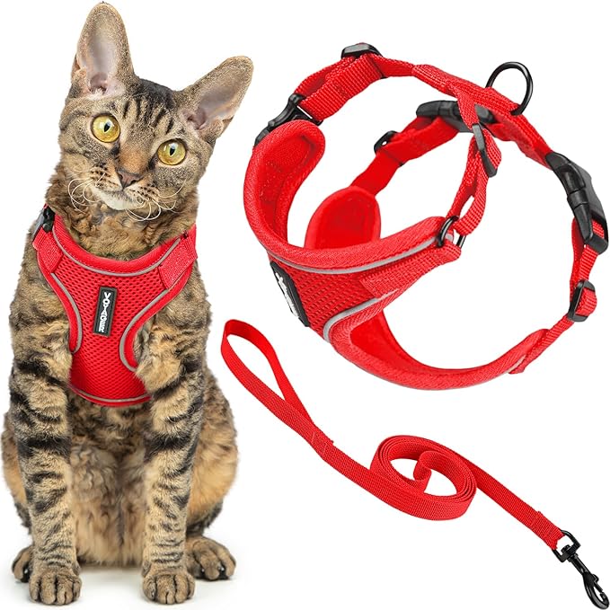 Voyager Escape-Proof Step-in Lock Cat Harness & 5ft Neoprene-Handle Leash Set All-Weather Mesh with Reflective Stitching for Small to Large Cats by Best Pet Supplies, Red (327), XS