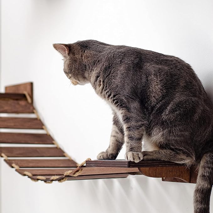 Wood Cat Bridge Cat Steps Cat Bed Wall Cat Toy Rustic Cat Tree Wall Decor Cat Lover Gift New Home Gift Cat Furniture Wall (Dark Walnut, Bridge & 3 steps)