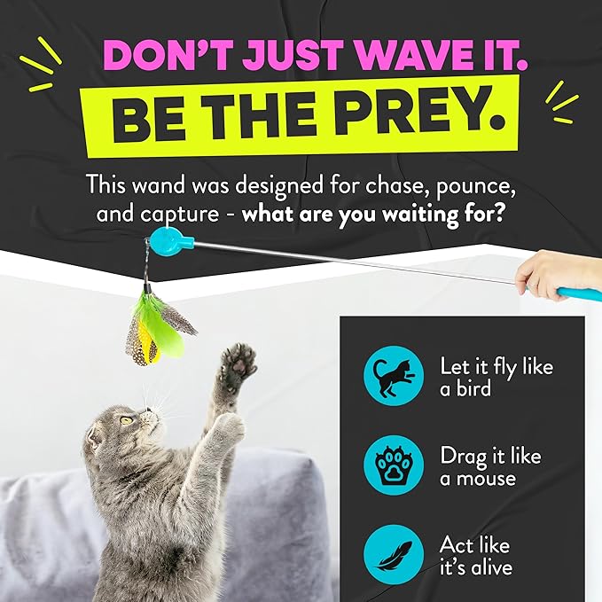 Jackson Galaxy Gotcha! Cat Wand Toy - Retractable Cat Toy for Engaging Play - Telescoping Wand with Natural Feathers for Indoor Cats - Foundational Tool for Cat Wellness and Interactive Bonding Play
