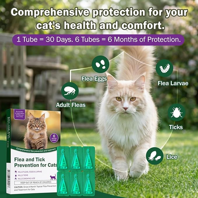 Flea and Tick Prevention for Cats & Kittens - Topical Waterproof Cat Flea and Tick Treatment – Fast-Acting & Long - Control for Cats Over 1.5 lbs and 8 Weeks or Older Supplement– 6-Dose Supply