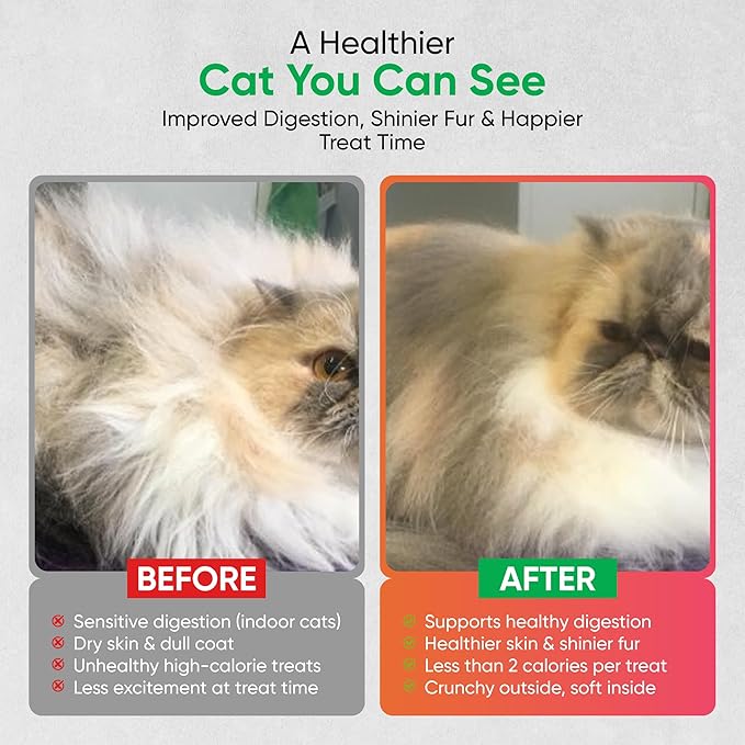 Salmon Cat Treats for Skin & Fur Health, Pack of 2 Chicken & Salmon Flavor Crunchy and Soft Cat Treats (2.1 oz Each) with Microfiber Cleaning Cloth