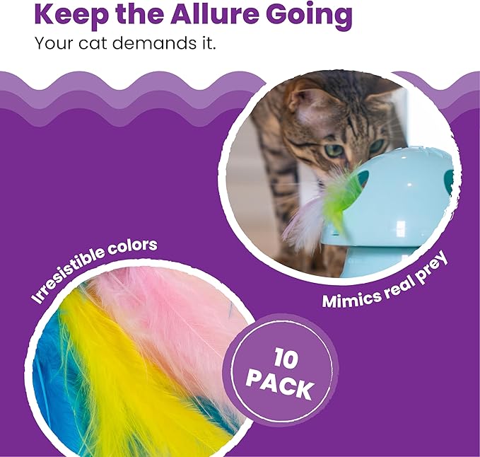 Catstages Dart N' Dash Replacement Feathers for Cat Track Toy – 10 Pack of Colorful Feathers for Interactive Play, Teasing & Mental Stimulation
