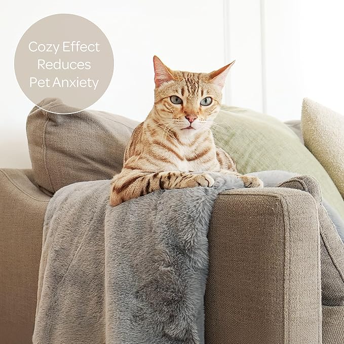 4 Cats & Dogs Leak Resistant Mini Faux Fur Throw, Soft European Faux Fur Pet Blanket, Velvet Backing, 40 x 30 Inch Cozy Furniture Protector for Pets, Machine Washable (Grey)