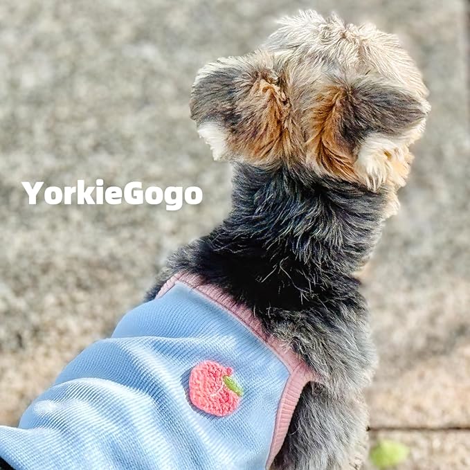 4-Piece Tiny Pet Clothes, Candy Colored Plush Sweater Shirts for Newborn/Teacup Cats & Dogs (e.g., Chihuahuas, Yorkies), Bunnies, and Other Small Animals (Sweet Fruit, XXXS (under 1.5 lbs))