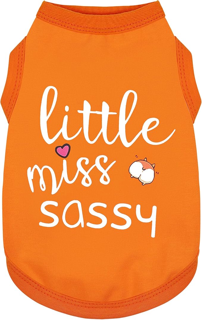 Paiaite Dog Clothes Fashionable Sleeveless Pet Vest: 'Little Miss Sassy' Printed Cotton Dog Shirt, Ideal for Small, Medium, and Large Breeds, Ensuring Comfort and Breathability Orange XXS