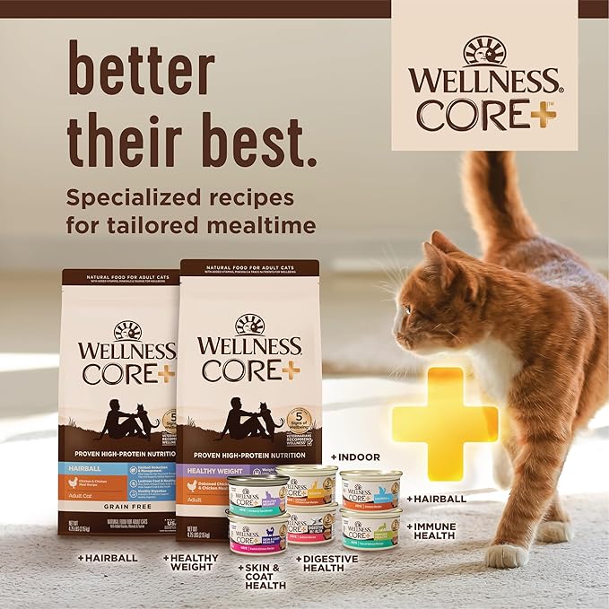 Wellness CORE+ Pate Adult Canned Wet Cat Food for Indoor Cats, Natural, Protein Rich, Grain Free, Chicken Recipe, 5.5 oz, Pack of 12 Cans