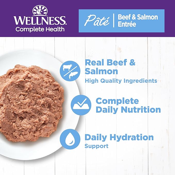 Wellness Complete Health Pate Adult Canned Wet Cat Food, Natural, Protein Rich, Grain Free, Beef and Salmon Entrée Recipe, 12.5 oz, Pack of 12 Cans