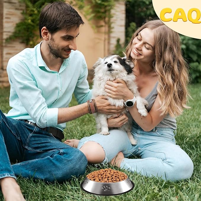 CAQ Dog Cat Bowls Stainless Steel Small Cat Dog Food Water Bowl for Indoor Stackable Pets Puppy Dish Non-Slip Removable Rubber Base Set of 2