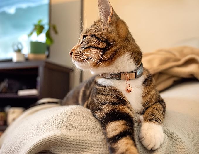 Rogz Urban Cat Collar Gold Rush with Break-Away Safety Buckle
