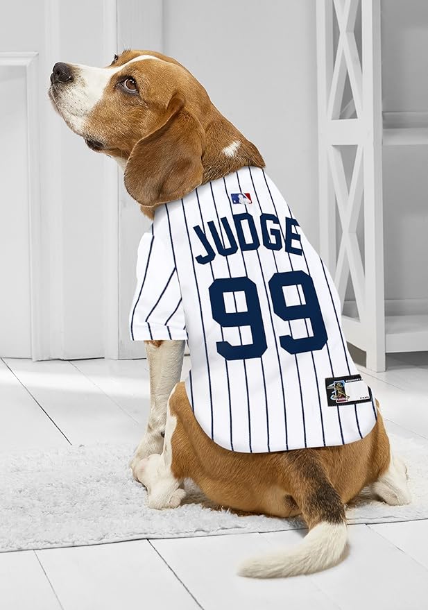 MLBPA Dog Jersey - Aaron Judge #99 Pet Jersey - MLB New York Yankees Mesh Jersey, Small