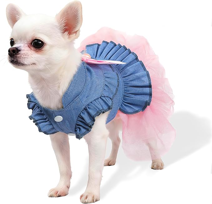 Dog Dress, Fashion Puppy Tutu Princess Dresses for Small Dogs Girl, Sweet Skirt with Dog Bowknot Clips, Spring Dog Cat Clothes Pet Apparel (Denim Princess Dress, Small)