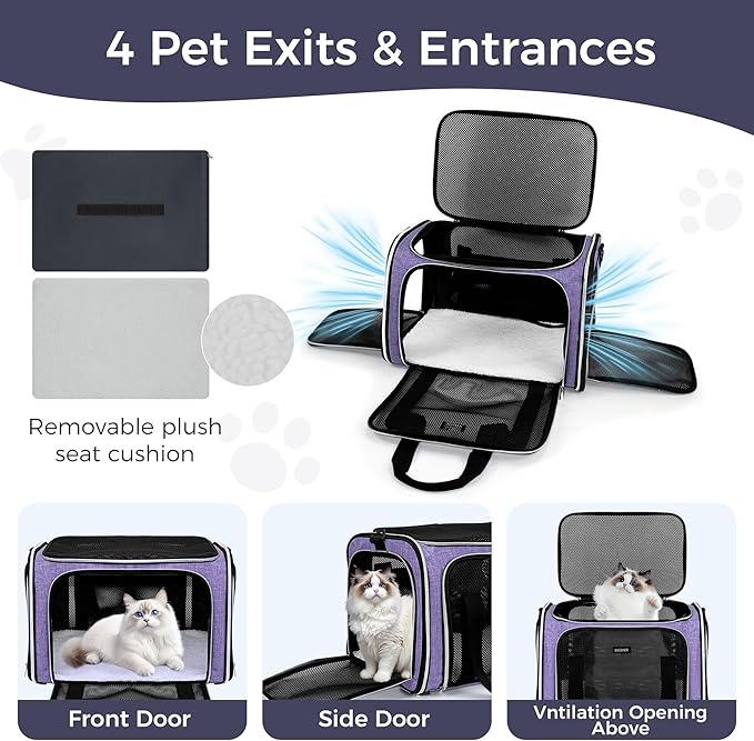 BAGLHER Pet Travel Carrier, Cat Carriers Dog Carrier for Small Medium Cats Dogs Puppies, Airline Approved Small Dog Carrier Soft Sided, Collapsible Puppy Carrier, Purple