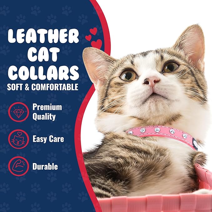 Studded Cat Collar, Genuine Leather Kitten Collar, Sturdy Breakaway Cat Collar with Bell and Elastic Stretch, Cat Accessories, Bubblegum Pink, 10 x 1/2 inches - Angel Pet Supplies