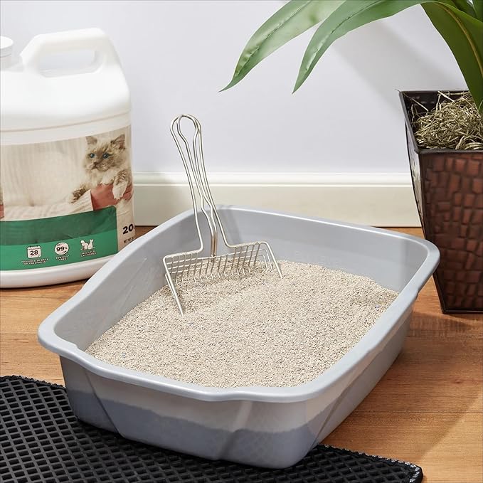 Scoopable Tight Clumping Cat Litter, Fresh Scent, 20 lb