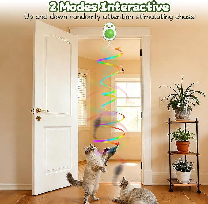 Hanging cat Toys