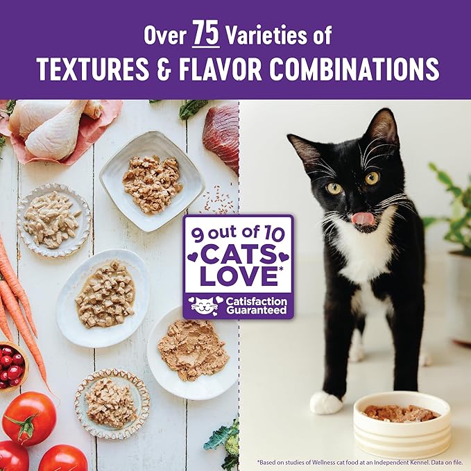 Wellness Healthy Indulgence Morsels Adult Wet Cat Food, Natural, Protein Rich, Grain Free, Chicken and Turkey Recipe, 3 oz, Pack of 24 Pouches