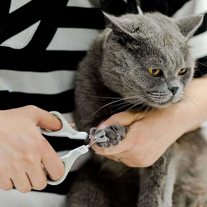 Mr. Pen- Cat Nail Clipper, Stainless Steel, Professional Sharp Cat Claw Trimmer for Small and Medium Cats, Pet Nail Clipper with Sturdy Non Slip Handle