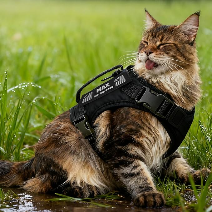 Cat Harness and Leash Escape Proof Tactical Cat Harness with Custom Patches Adjustable Soft Vest for Walking & Training Comfortable Outdoor Gear Fits Small Medium Large Cats (8-20 lbs)