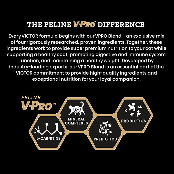VICTOR Super Premium Cat Food – Hi-Pro Plus Active Adult Cat and Kitten – Dry Feline Food for Active Cats – All Breeds and All Life Stages – Supports Energy, Healthy Coat, Immune Function, 5lb