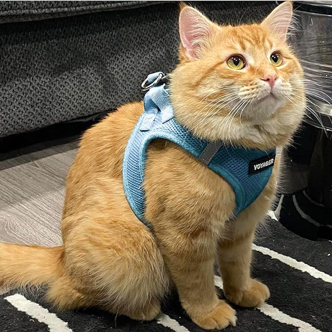 Voyager Step-in Pet Harness - All Weather Mesh, Adjustable Step in Harness for Cats and Dogs by Best Pet Supplies - 307S Baby Blue, M