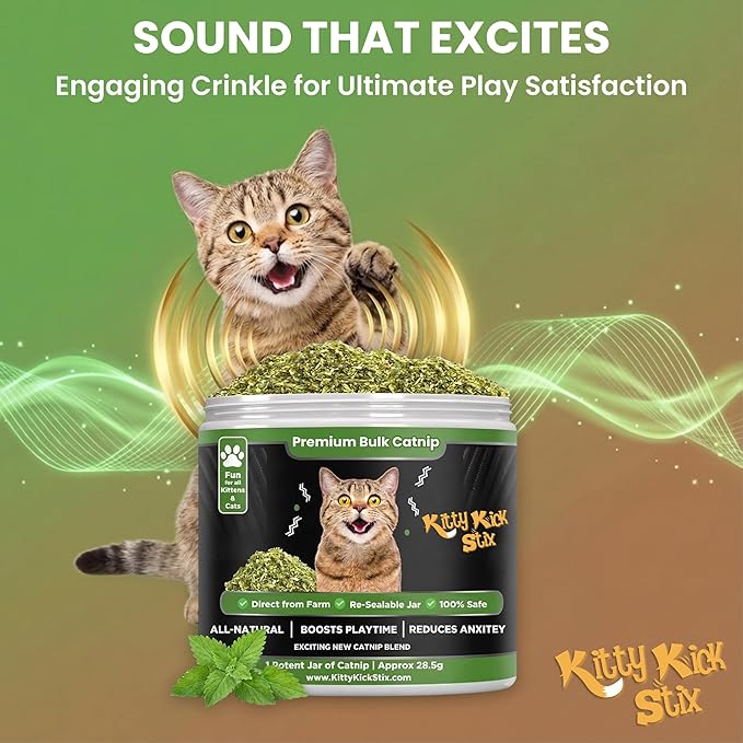 Kitty Kick Stix Premium Bulk Catnip - Made in USA 100% Natural, Enticing Catnip Treats for Catnip Toys, Catnip Spray, & Cat Accessories. Safe & Non-Addicitve Catnip for Kittens (Single Jar)