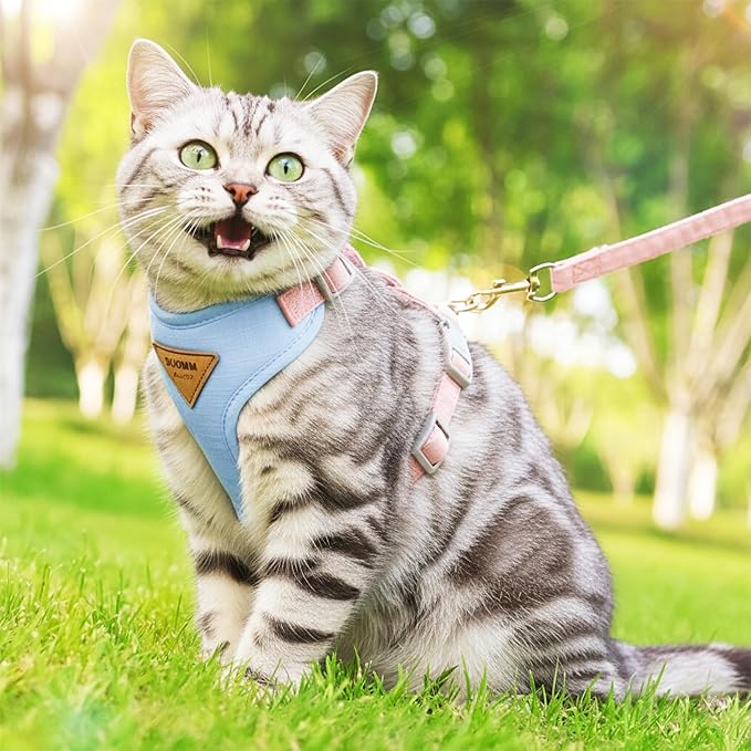 Escape-Proof Cat Harness and Leash Set - Adjustable and Comfortable - Ideal for Walking Cat Outdoors - Fits Small Dogs, Kittens, Medium, and Large Cats (Blue, L)