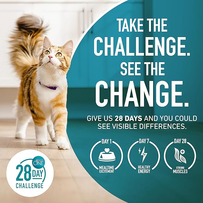 Purina ONE Sensitive Stomach, Sensitive Skin, Natural Dry Cat Food, +Plus Sensitive Skin and Stomach Formula - 7 lb. Bag