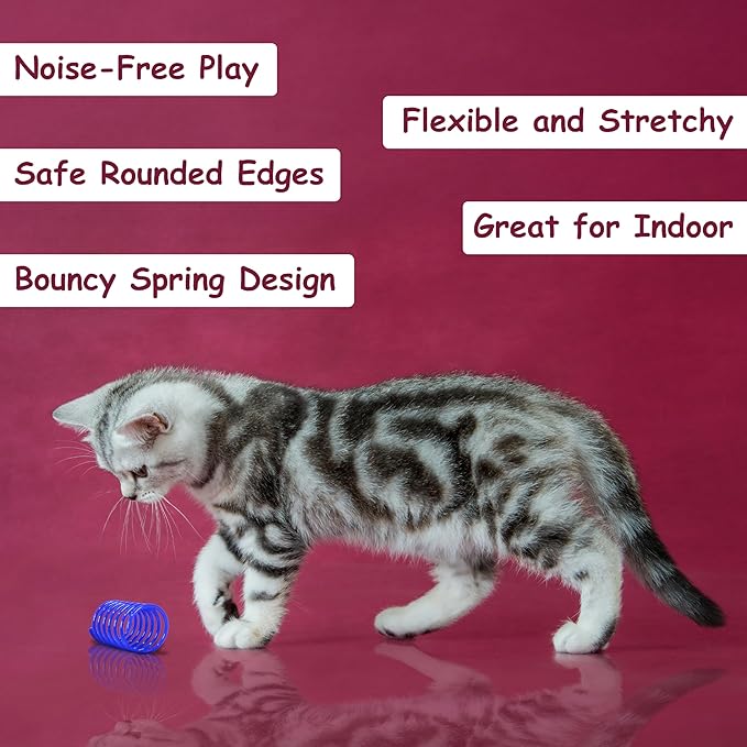 Cat Spring Toy, 13 Pcs Cat Kittens Toys Plastic Colorful Coil Spiral Springs for Swatting, Biting, Hunting, and Active Healthy Play Interactive Toys Indoor Cats
