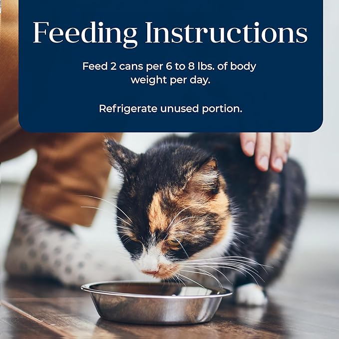 Blue Buffalo Basics Grain-Free, Turkey, Adult Wet Cat Food, 3 oz., Count of 24