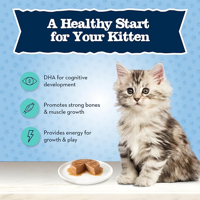 Blue Buffalo Baby Blue Natural Kitten Wet Cat Food Paté Variety Pack, Healthy Growth Formula with DHA, High-Protein & Grain-Free, Chicken and Salmon Recipes, 3-oz Cans (6 Count, 3 of Each)