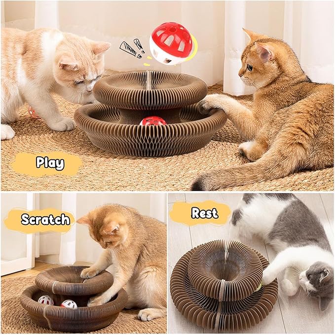 2-Pack Upgraded Kitty Curls Cat Scratcher, Magnetic Multi Shape Twisty Paws Cat Toy with Play Ball, Interactive Cats Toys for Indoor, Flexible Scratcher for Protection Furniture