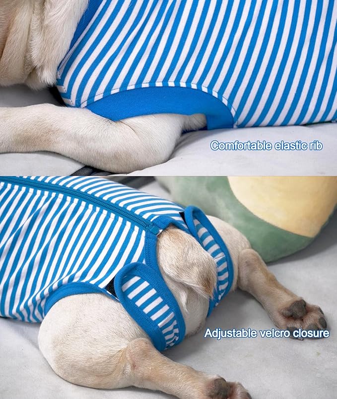 Dog Blue Recovery Suit for Large Female Spay,Male Dog Surgery Suit,Narrow Blue-White L