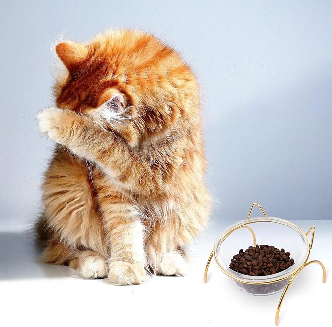 BESPORTBLE Cat Ceramic Raised Bowl Feeder Neck Protection, Slant Edge Pet Food Bowl on Iron Stand, Suitable for Indoor Cats Feeding and Watering