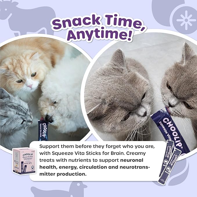 Choolip Squeeze Vita Stick Brain Support Lickable Cat and Dog Treats, 49-Count – Beef and Chicken Soft Puree with DHA, CoQ10 & Vitamin E for All Life Stages